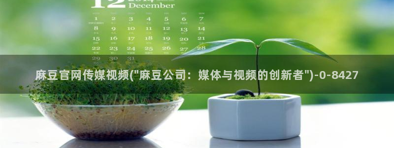 麻豆视影视传媒官网:麻豆官网传媒视频(\